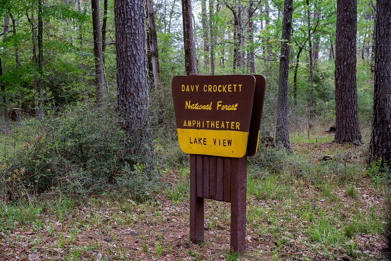 The Davy Crockett National Forest, which runs right up to Apple Springs.